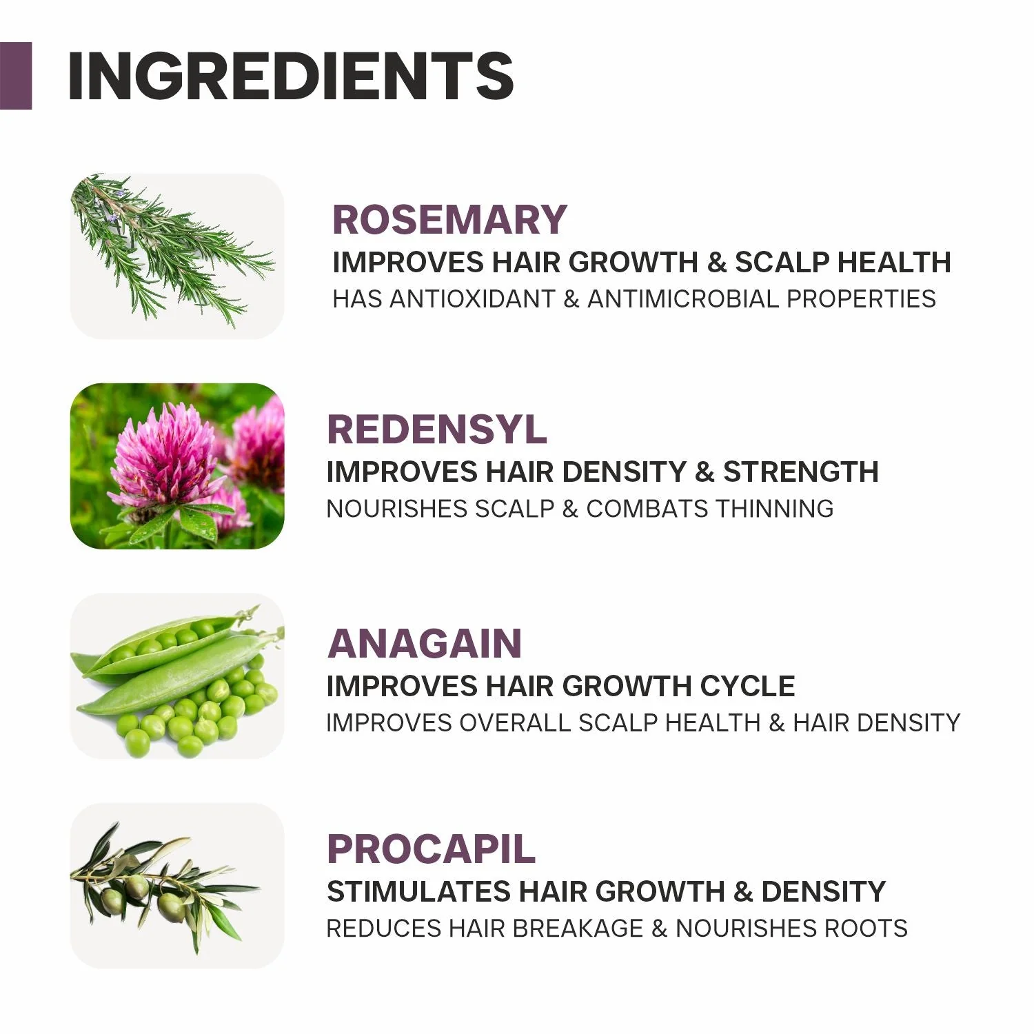 Actives 2% Rosemary Water Spray for Hair Growth PO3 - Image 4